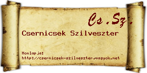 Csernicsek Szilveszter névjegykártya