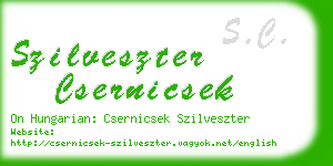 szilveszter csernicsek business card